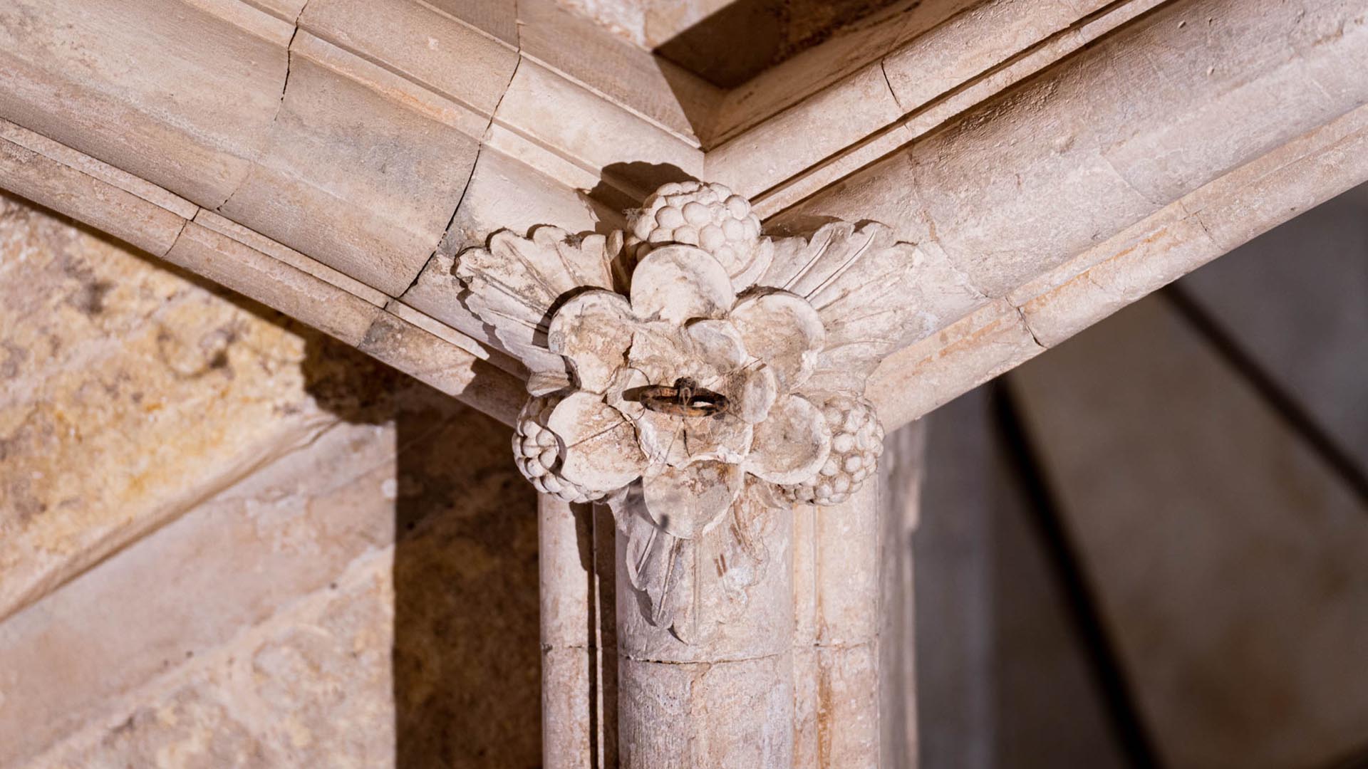 第7室: ファウヌス