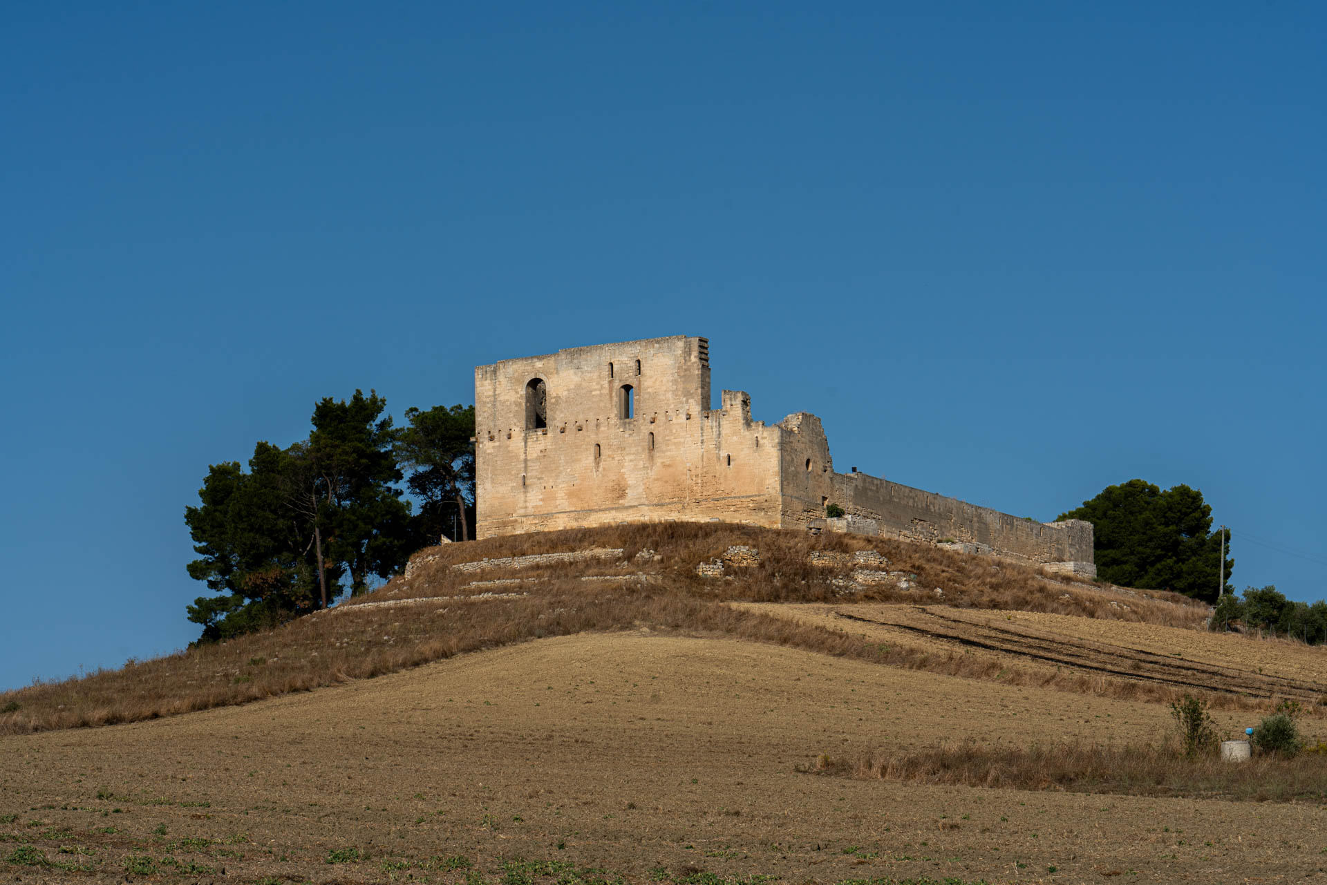 フェデリーコ2世の城のネットワーク