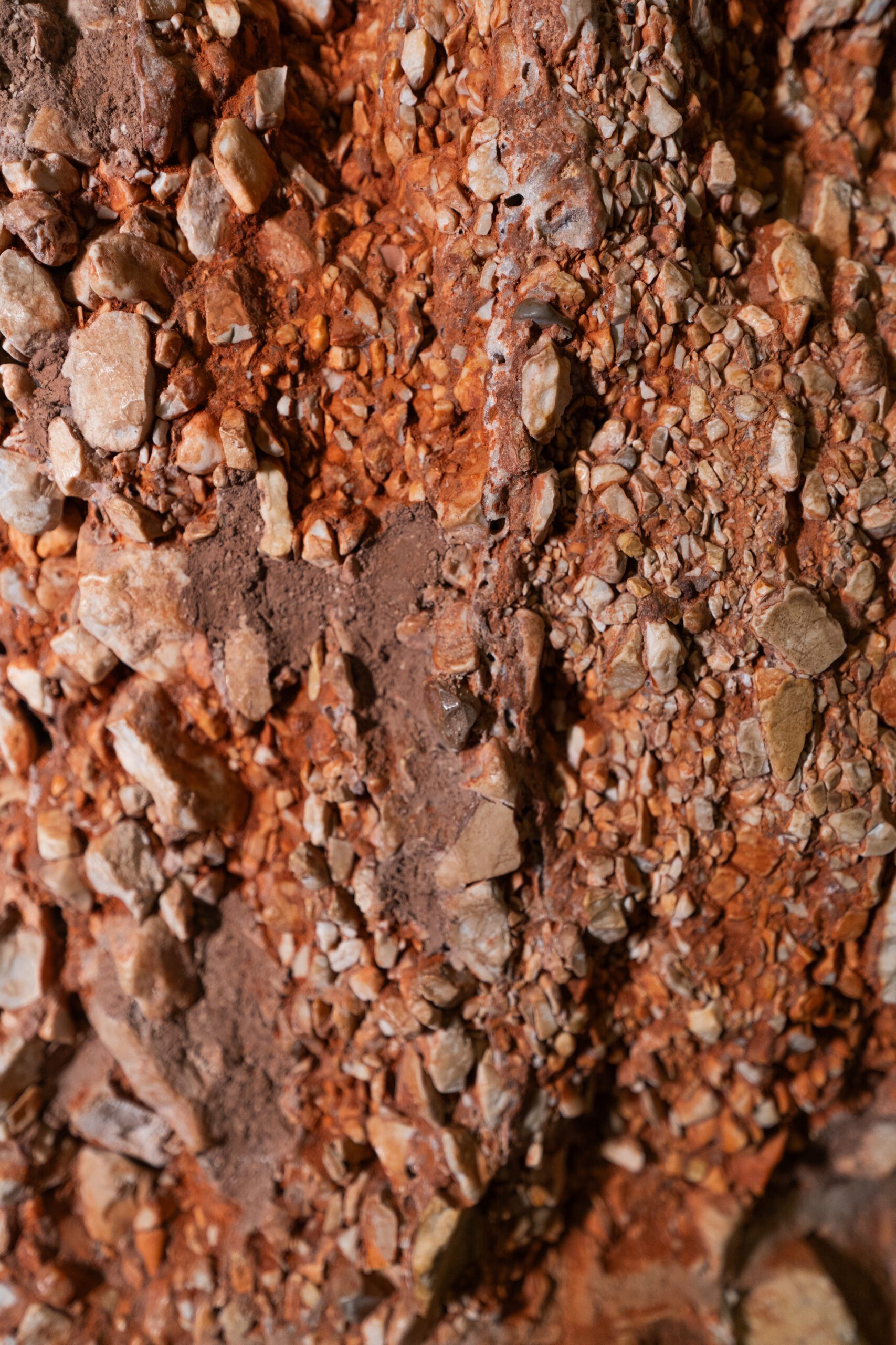 Cour intérieure: La Cour Octogonale