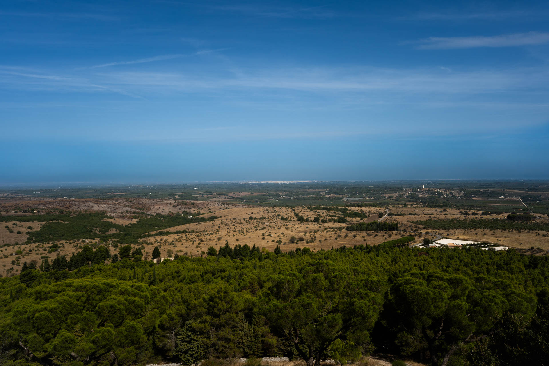 第二展示室: 三連窓の部屋