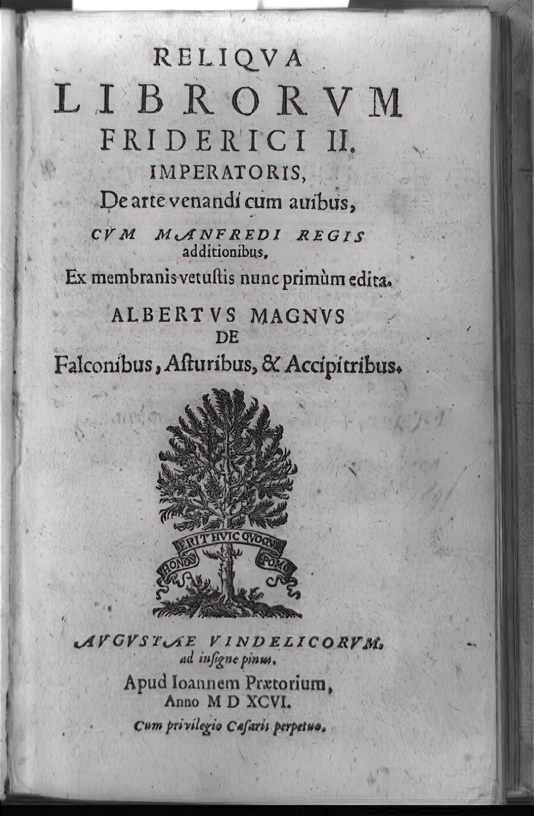 ‘De arte venandi cum avibus’: Federico II, la science et la fauconnerie